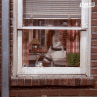 200.gif