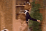 tenor.gif