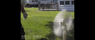 AliveSmoothDwarfrabbit-size_restricted.gif
