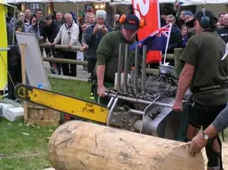 v8 chainsaw.webp