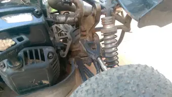 IMAG5160.webp