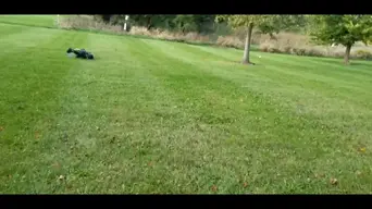 Screenshot_20201003-015833.webp