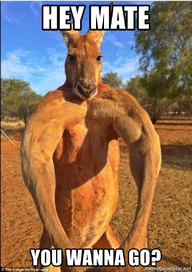 hey-mate-you-wanna-go.webp hey-mate-you-wanna-go.webp