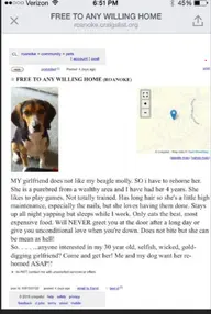 Needs new home.webp