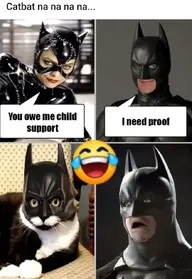 Catman.webp