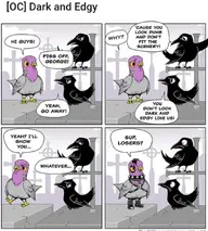 Birds.webp