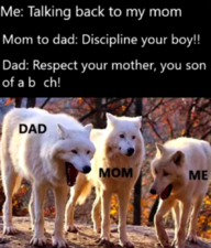 Wolf Discipline.png