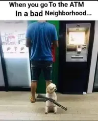 Guard dog.webp