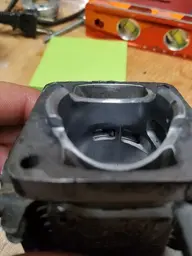 16066082173037849204082144296519.webp