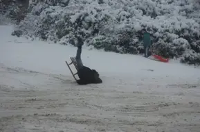 ZSledding .webp