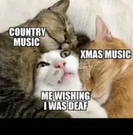 thumb_country-music-xmas-music-mewishing-i-was-deaf-kill-me-66202004.webp