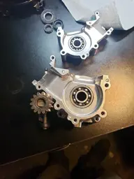 16112479409318501696123885167357.webp