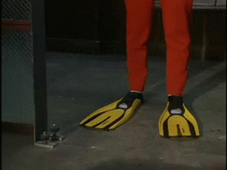 giphy (3).gif