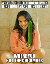 sex-memes-1.webp