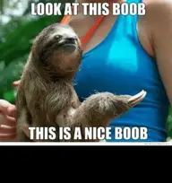 thumb_look-at-this-boob-this-is-a-nice-boob-we-49301994.webp