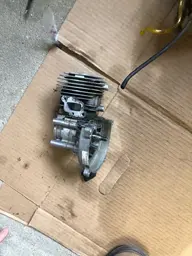image11.jpeg