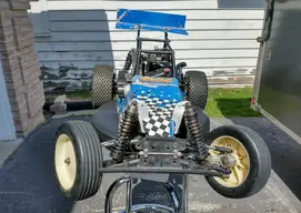 buggy14.webp