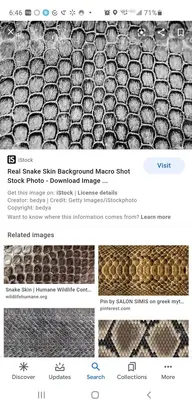 Screenshot_20210408-064650_Google.webp