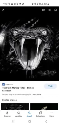 Screenshot_20210408-091232_Google.webp