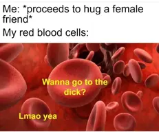 Blood.webp