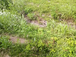 20210531_163022.webp