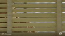 tenor (11).gif
