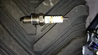 20220807_120341.jpg 20220807_120341.jpg