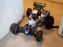 20220812_155612.webp