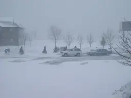 100_2031.jpg 100_2031.jpg