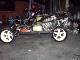 marder3.webp