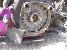 bajaskidpan001.jpg bajaskidpan001.jpg