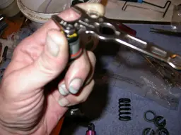 DSCN2757.webp