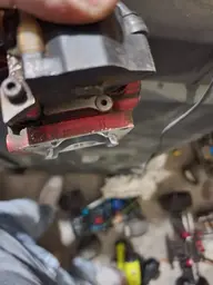 20221104_194333.webp