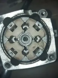 1000011884.jpg 1000011884.jpg