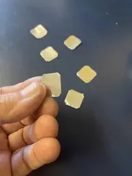 IMG_7504.jpeg IMG_7504.jpeg