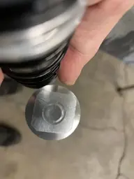 IMG_7509.jpeg IMG_7509.jpeg