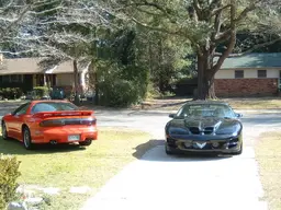codyspictures052.webp