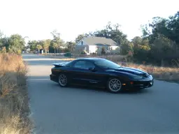 Picture051.webp