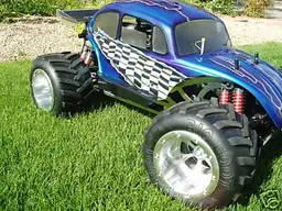 beetle1a.webp