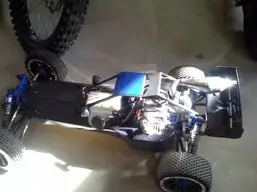 buggy 2.webp
