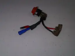 kill switch button.webp