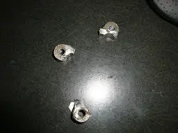 DSC00931.webp