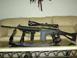 FAL.webp FAL.webp