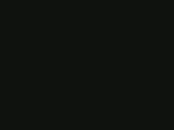 th_PIGBEAST.webp