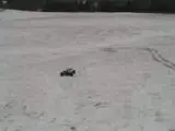 th_TTSNOW.webp