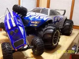 MTandLosi016.webp