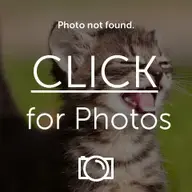 IMG_20100703_000553.webp