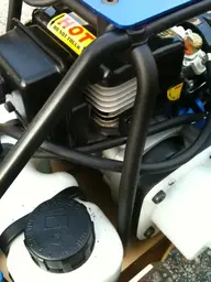 oil.webp