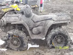 Eastselkitkmudbog060.webp
