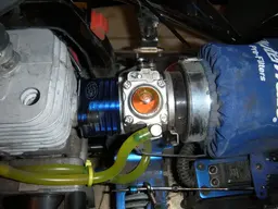 4gnno2.webp